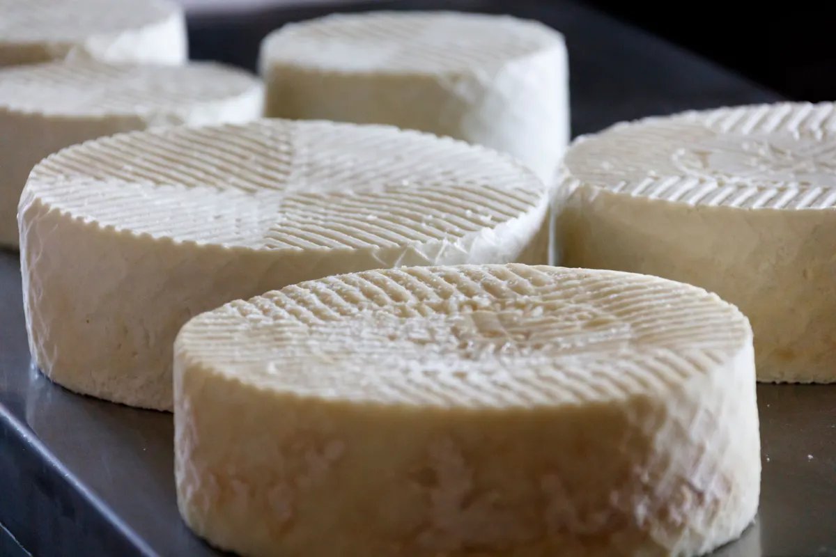 Cheese Making Experience in Fuerteventura with Transfer