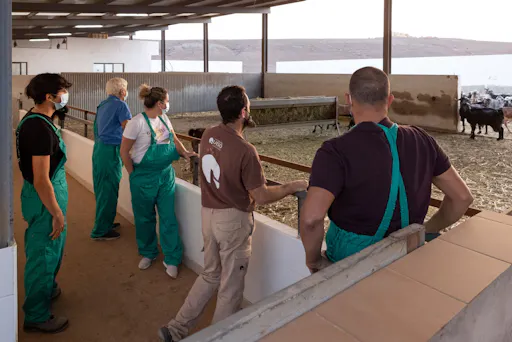 Cheese Making Experience in Fuerteventura with Transfer