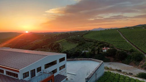 Crete Food and Wine Tasting with Wine Factory Visit