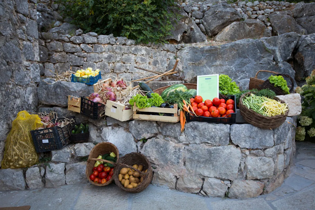 Orašac and Ljubač Villages Tour with Local Delicacy Tastings