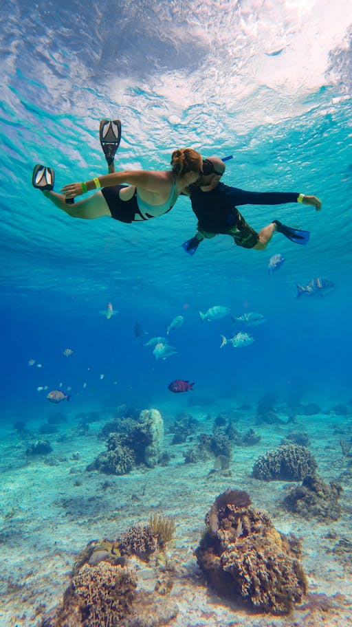 Cozumel Sea Safari with El Cielo Snorkelling