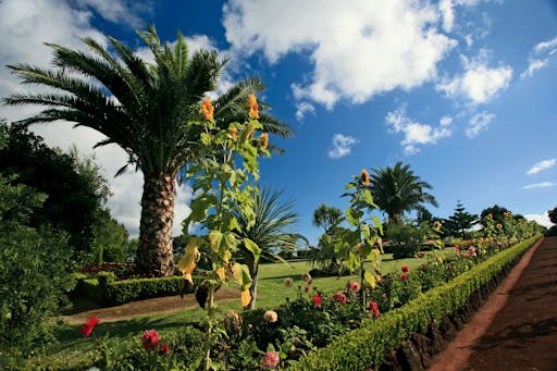 North Coast of São Miguel Tour