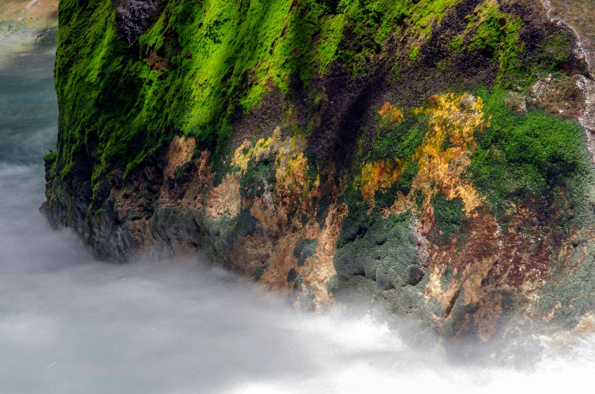 Hiking Tour in Tenorio Volcano National Park