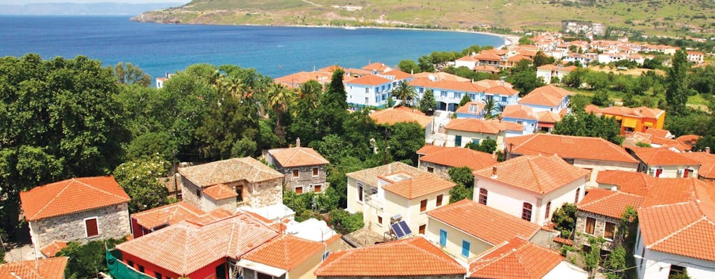 Wycieczka na południe Lesbos z miejscowością Plomari i degustacją ouzo