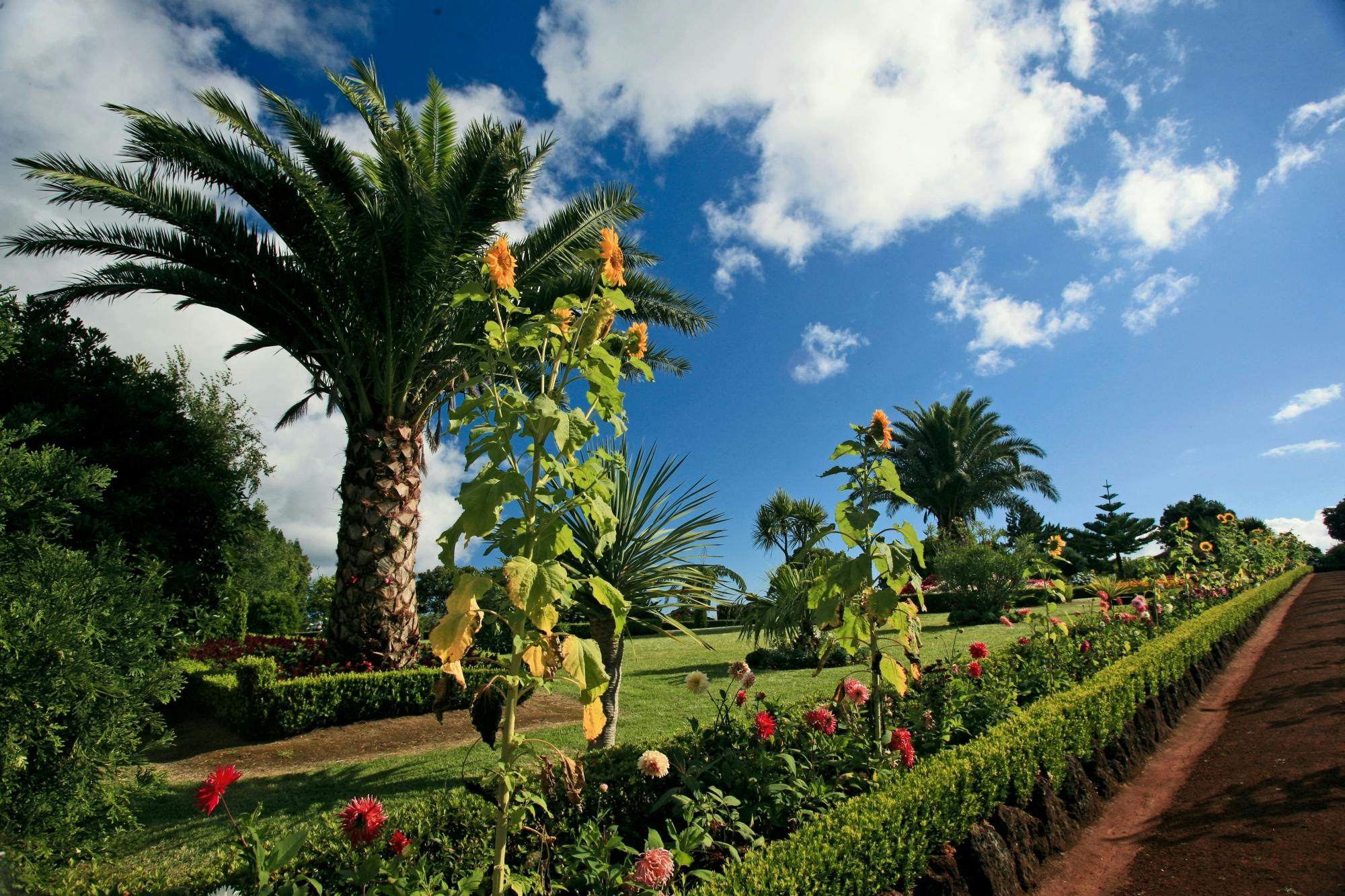 North Coast of São Miguel Tour