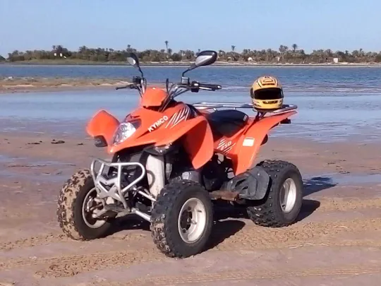 Bilet na safari na quadach po Dżerbie