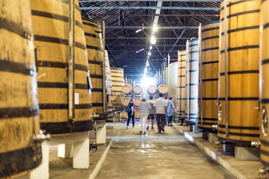 Visite à pied de Porto et visite de cave à vin avec dégustations