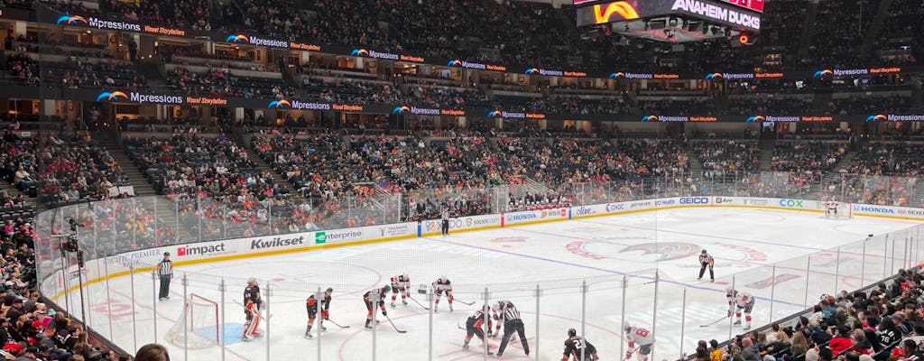 Eintrittskarte für das Eishockeyspiel der Anaheim Ducks im Honda Center