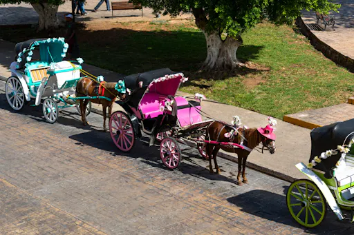 Izamal Magical Town Tour