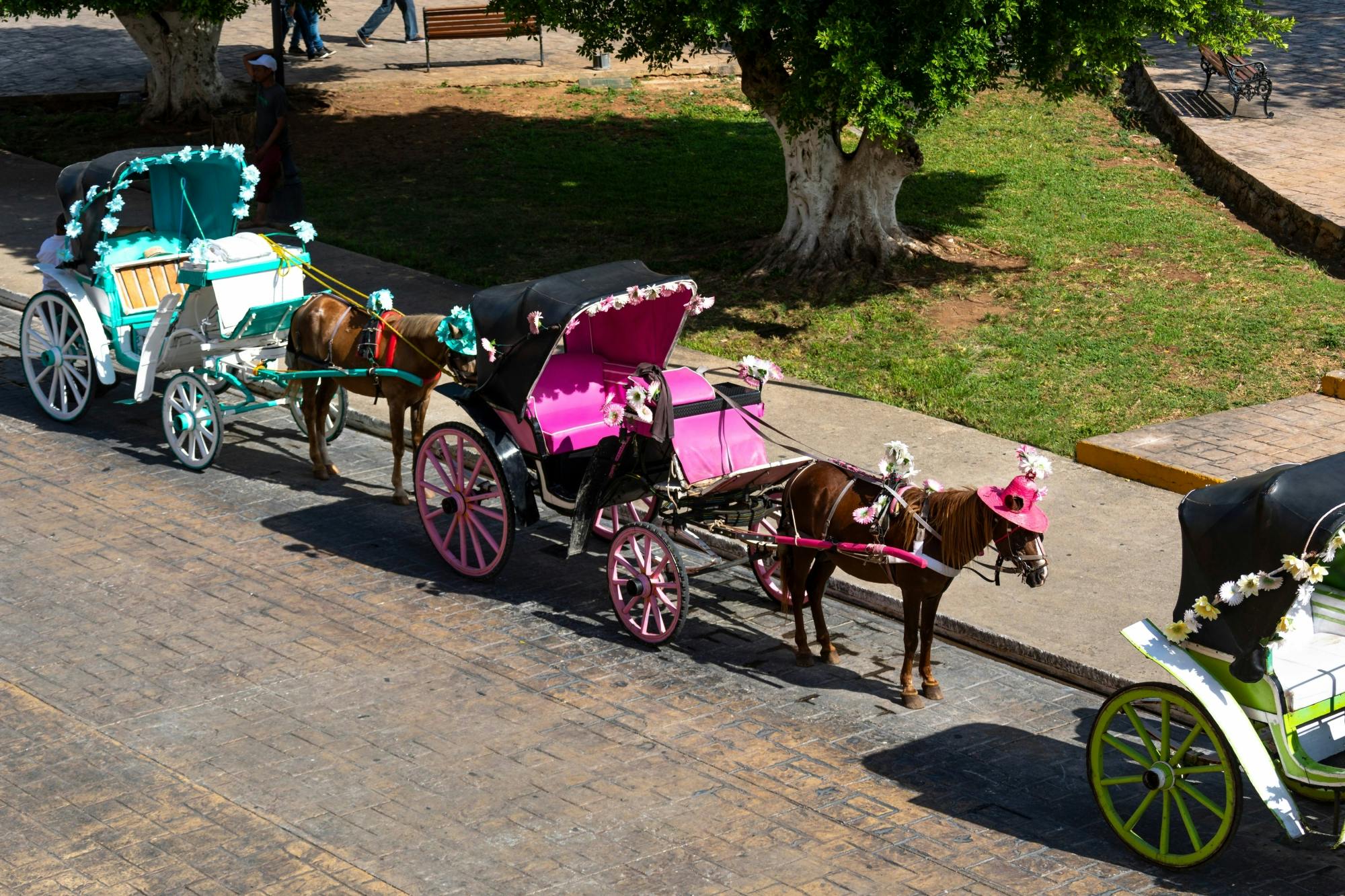 Izamal Magical Town Tour