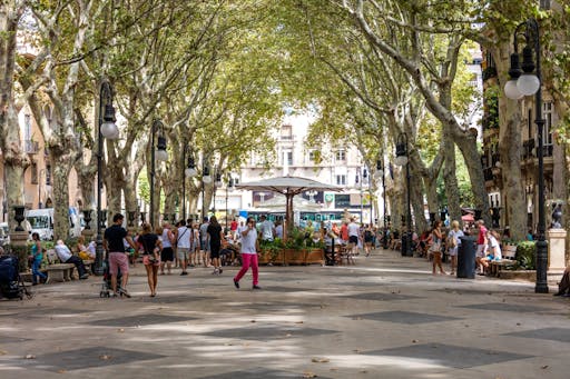 Palma by Night with Optional Guided Tour or Dinner