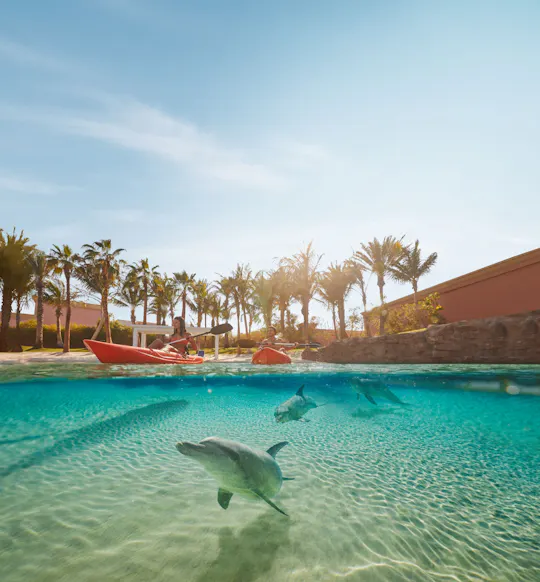 Dolphin Kayak in Atlantis the Palm