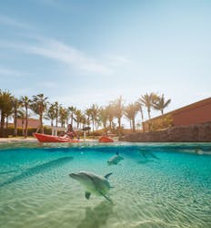 Dolphin Kayak in Atlantis the Palm