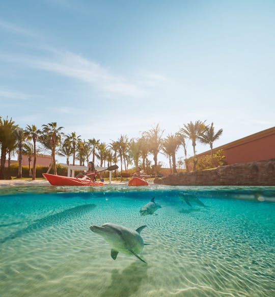 Kajak delfinów w Atlantis the Palm