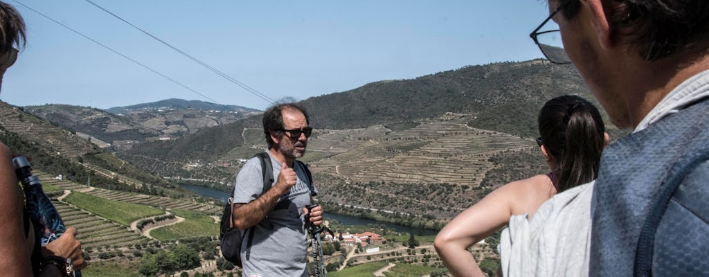 Walking tour along the Douro bank and lunch at a local house