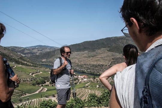 Walking tour along the Douro bank and lunch at a local house