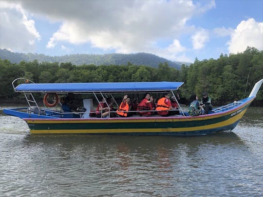 Cruzeiro no rio pelos manguezais de Langkawi e experiência de mergulho com snorkel