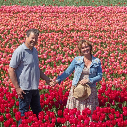 Visite d'Amsterdam à Keukenhof, ferme de tulipes et croisière aux moulins à vent