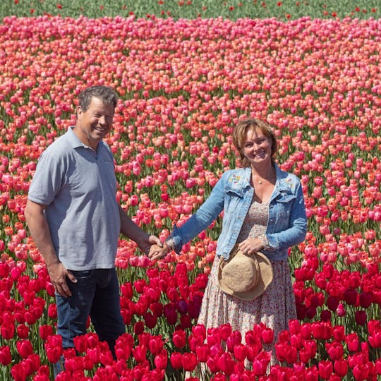 Tour desde Ámsterdam a Keukenhof, granja de tulipanes y crucero por molinos de viento