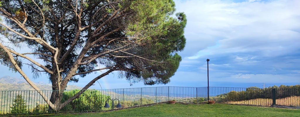 7 or 4 Wines and Food Tasting in Etna Regional Park with Winery Tour