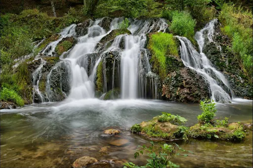 Into the Wild 4x4 Tour