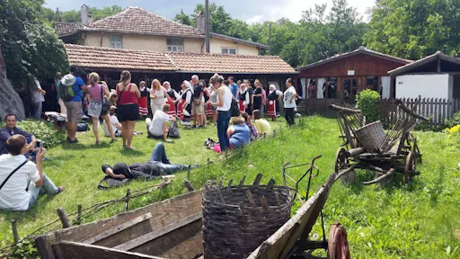 Into the Wild 4x4 Tour