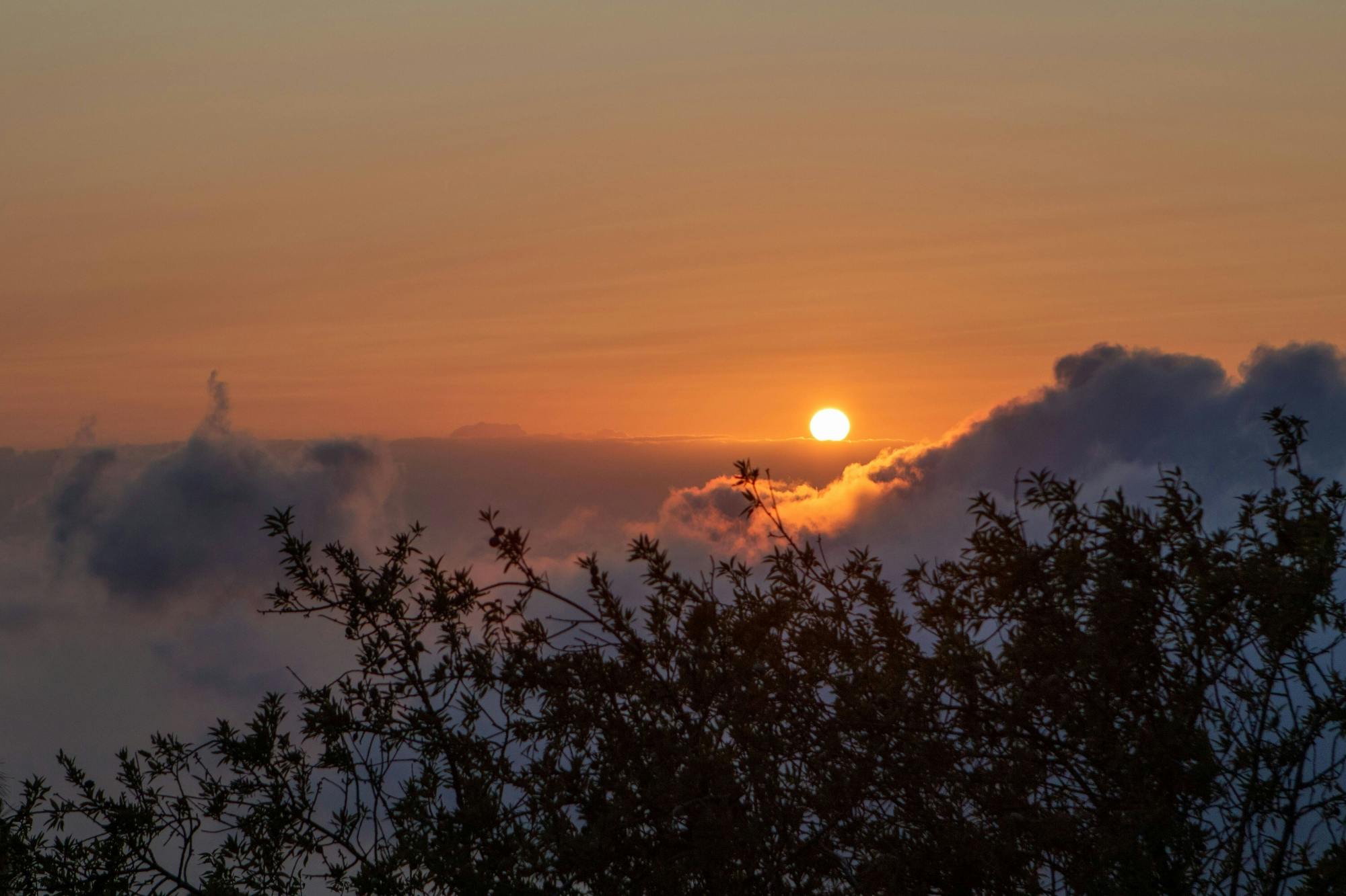 Roque de los Muchachos Bus Tour with Sunset and Stargazing