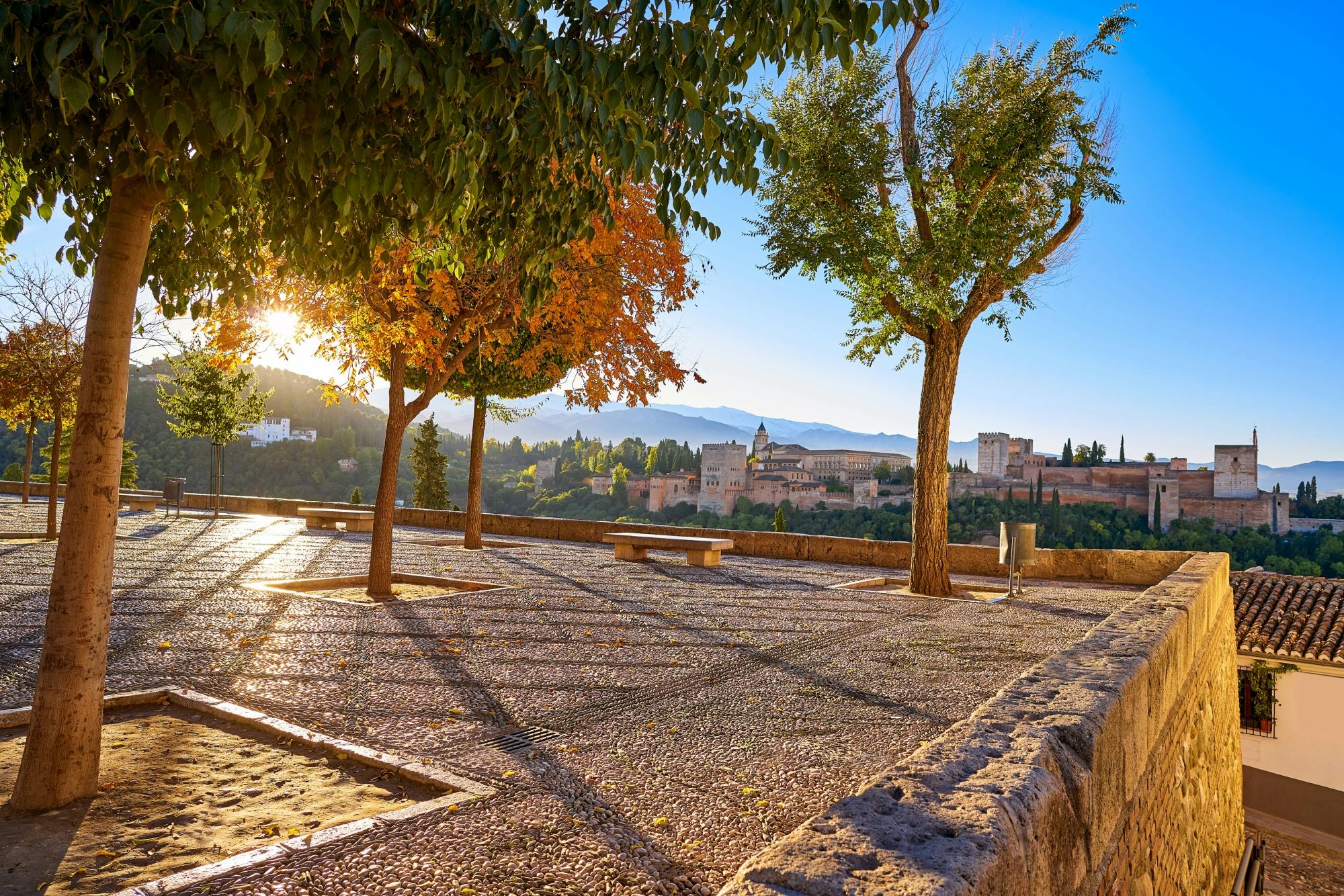 Gita di un giorno a Granada da Malaga a tuo piacimento