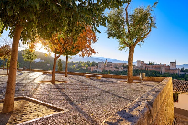 Gita di un giorno a Granada da Malaga a tuo piacimento