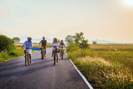 Visite de l'île de Divar en vélo électrique à Goa avec dîner