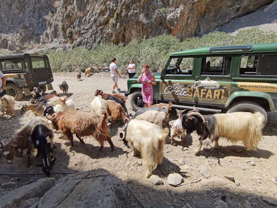 Agiofarago and Matala beach private tour