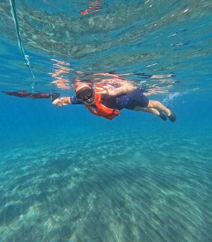 Snorkelling Experience in the South of Fuerteventura