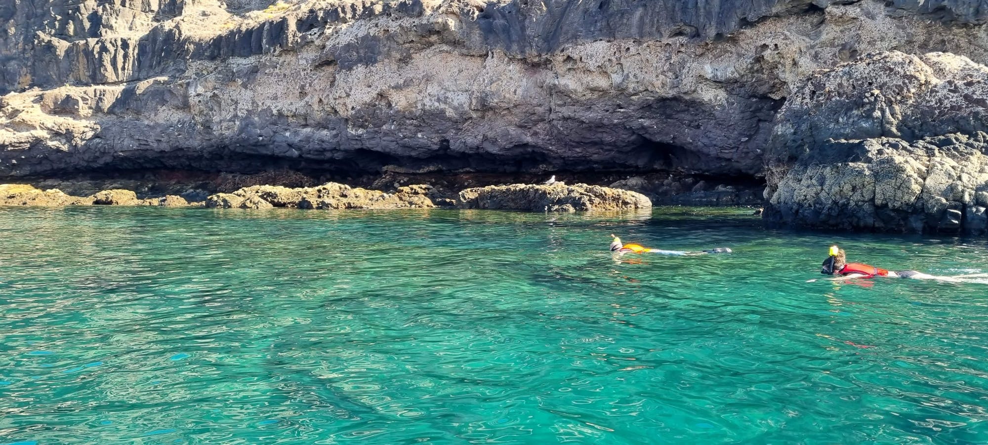 Snorkelling Experience in the South of Fuerteventura