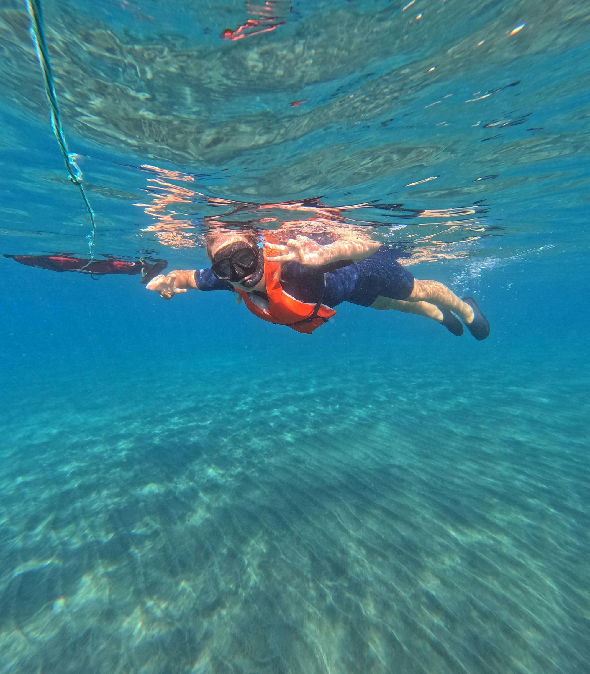 Snorkelling Experience in the South of Fuerteventura