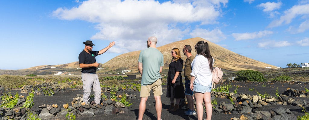 Nat Geo Day Tour: La Geria, vingårdar som växt fram ur bränder