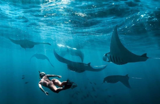 Private Nusa Penida all-inclusive snorkelling adventure