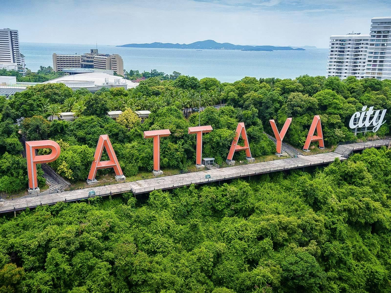 Pattaya city landmarks and floating market full-day tour