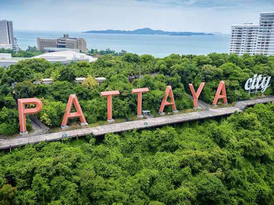 Pattaya city landmarks and floating market full-day tour