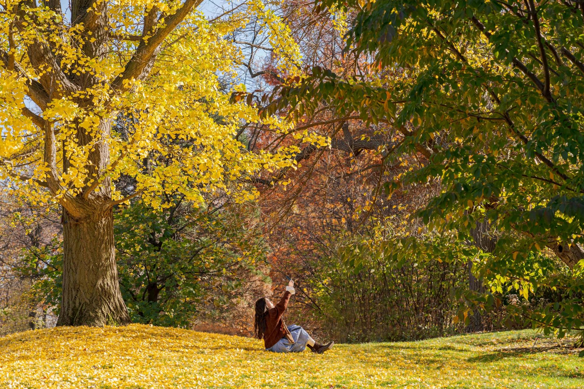 new york botanical garden free admission