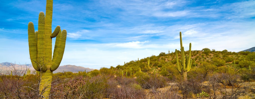Visite audio autoguidée du parc national de Saguaro
