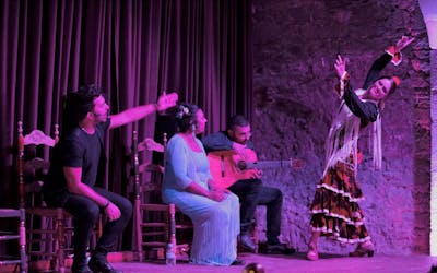 Visite à pied des galeries d’art du Born avec spectacle de flamenco