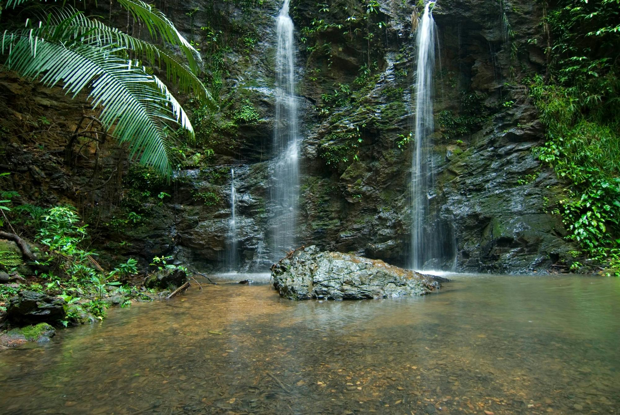 Lanta Jungle Safari