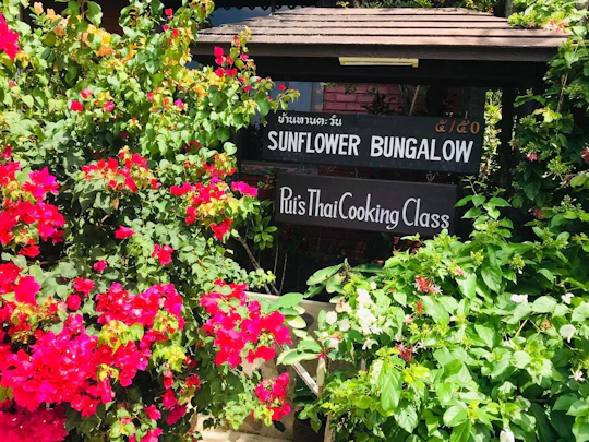 Half-day Pui's Thai cooking class from Khao Lak