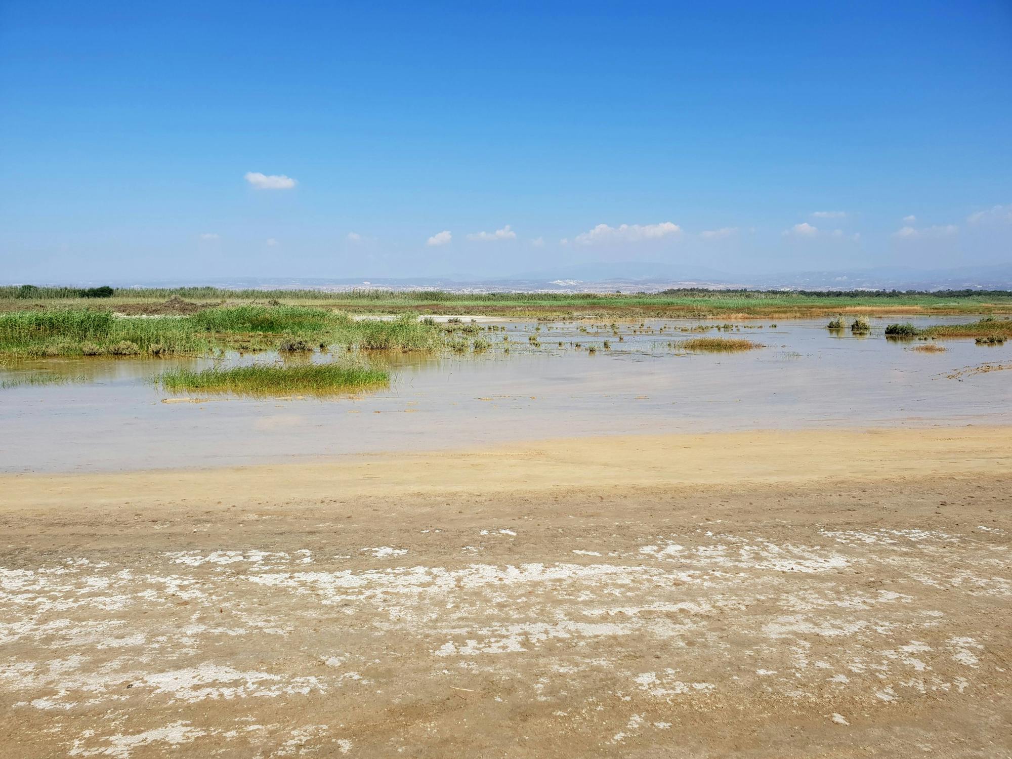 Akrotiri Bay Buggy Tour from Limassol