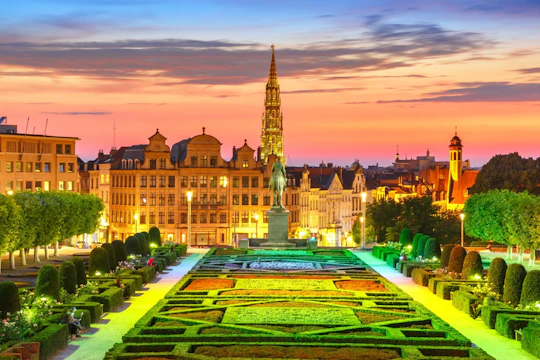 Brussels Christmas Market tour with a local