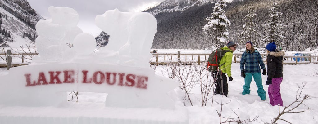 Lake Louise Winterland guided tour from Banff