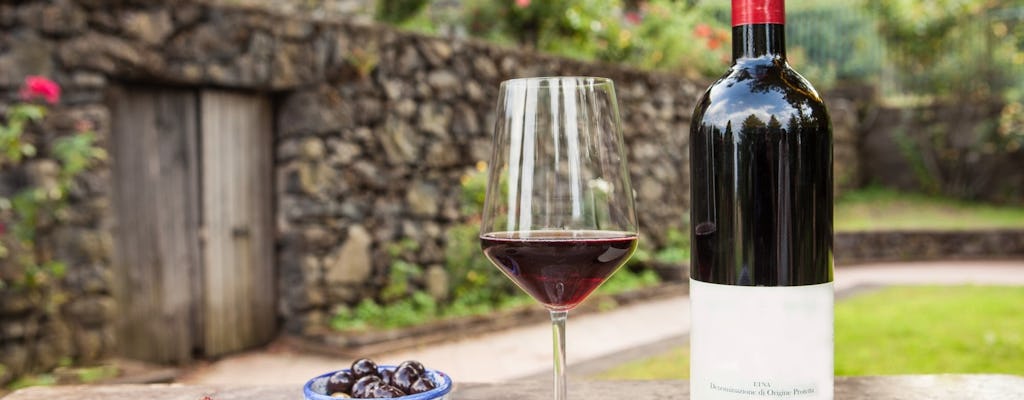 Tour in cantina ed esperienza di degustazione di vini nel Parco Nazionale dell'Etna