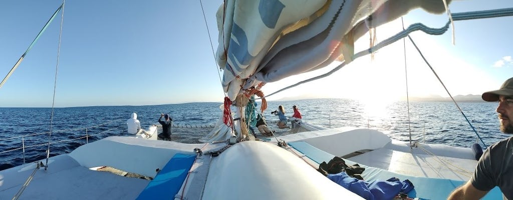 Lanzarote sunset cruise with dolphin watching