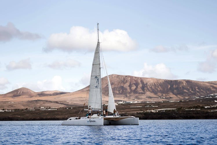 Private Dolphin and Whale Watching Catamaran Cruise with Snorkelling