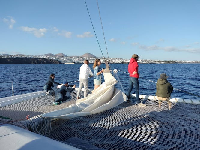 Private Dolphin and Whale Watching Catamaran Cruise with Snorkelling